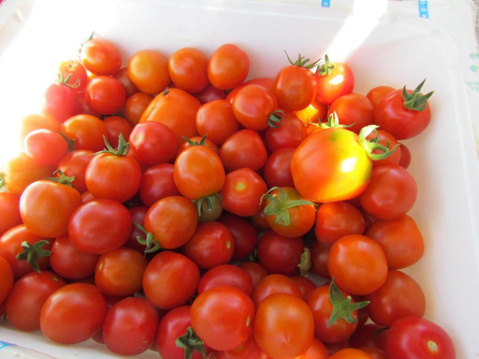 Il Gelso Bianco 호텔 비에스테 외부 사진